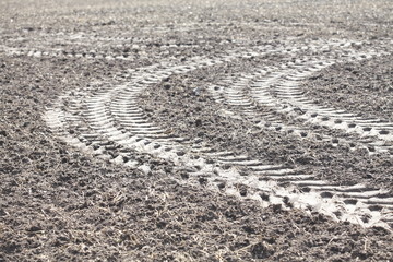 Acker mit Gülle gedüngt