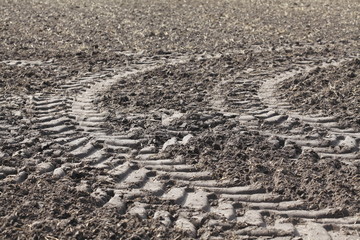 Acker mit Gülle gedüngt