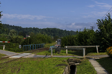 tory  © wedrownik52