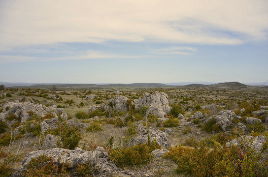 Platau du Larzac Aveyron Millau 