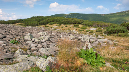 Amazing Landscape from Route to climbing a Musala peak, Rila mountain, Bulgaria