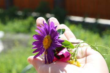 flower in hands