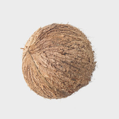coconuts isolated on gary background clipping path.