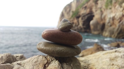 Fototapeta na wymiar Escargot de mer sur un pierre au bord de la mer 