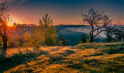 Summer moring among fields