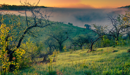 Summer moring among fields