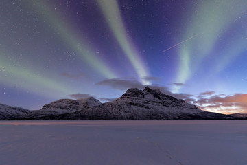 Nothern lights in Lofoten islands