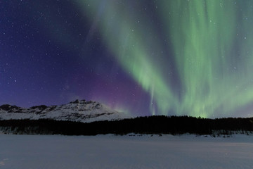 Nothern lights in Lofoten islands