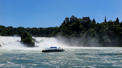 Fototapeta premium rhine falls schaffhausen