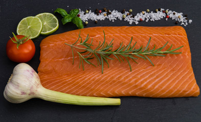 Lachs - Salmon Salar