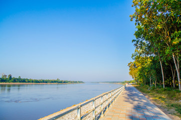 Walkway beside the river, with trees beside the walkway with blue sky