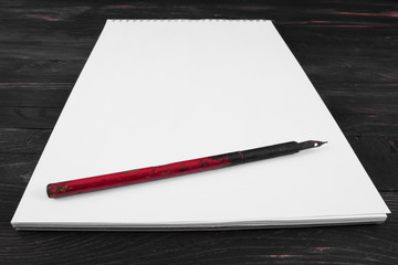 ink pen on a blank sheet