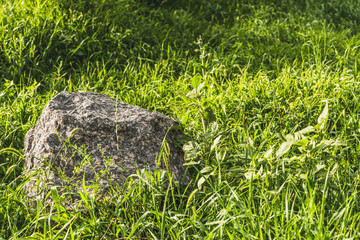 full frame shot of boulder lying in green grass under sunlight