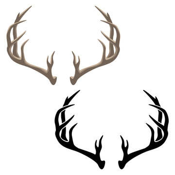 Antler Vector Isolated Illustration in both Color and Black Line Art