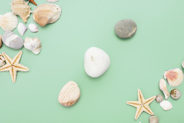 Flat lay. Top view. Frame of shells of various kinds on a green blue background. Seashells and starfish on a pastel background. Vacation concept