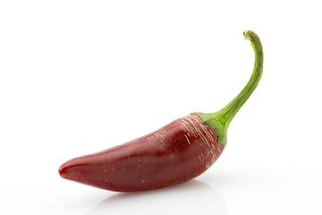 red chilli pepper or chilli cayenne pepper close up