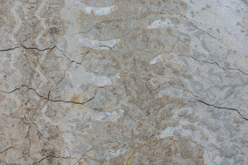 Wheel car track on wet cement concrete floor for background