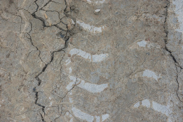 Wheel car track on wet cement concrete floor for background