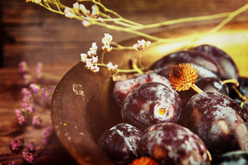 Natural organic plums in copper basin. Rustic style.