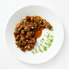 veal goulash with tomatoes, carrot, onion, and red wine decorated with green onion 