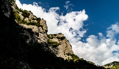Uno sguardo in su da Rio Vitoschio