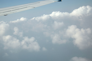 Obraz premium wing of an airplane