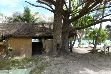 Fototapeta na wymiar 南の島の古い家屋
