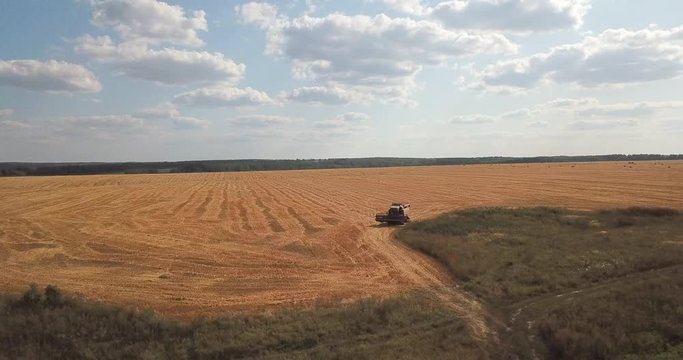 Harvesting combine "PALESSE GS10" rides over the grain field. Aerial view 4k