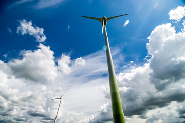 wind turbines in the field