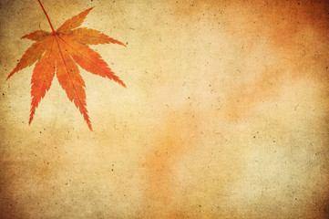 grunge background with autumn leaves