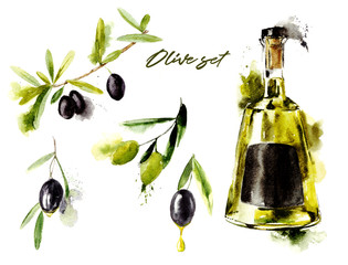 Watercolor set of olive branches with olives and bottle with oil on white background. Hand drawn watercolor illustration with splashes