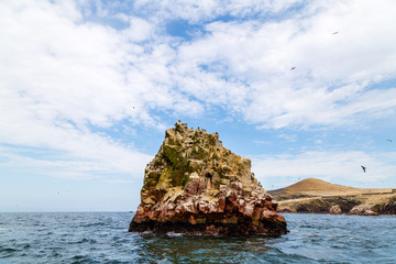Fototapeta na wymiar Rocher falaise îles Ballestas Pérou Ica Paracas Lima Paysage excursion visite tour 