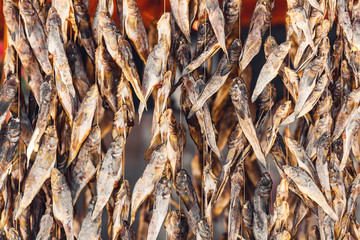Bundles of dried fish are hanging on counter of store.