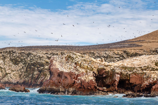 &icirc;les Ballestas P&eacute;rou Ica Paracas Lima Paysage excursion visite tour 