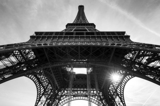 Fototapeta Beautiful view of the Eiffel tower seen from beneath in Paris in black and white
