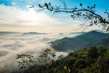 Sunrise and the mist in winter morning