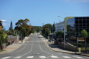 南の島の街中の道路