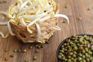 Bean sprouts with seed