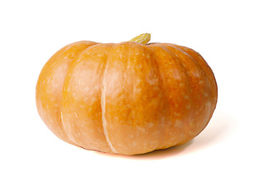 pumpkin on white background
