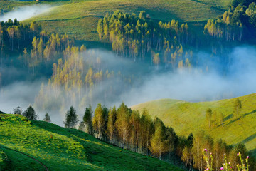 Landscape from Transylvania - Dumesti, Salciua - Romania