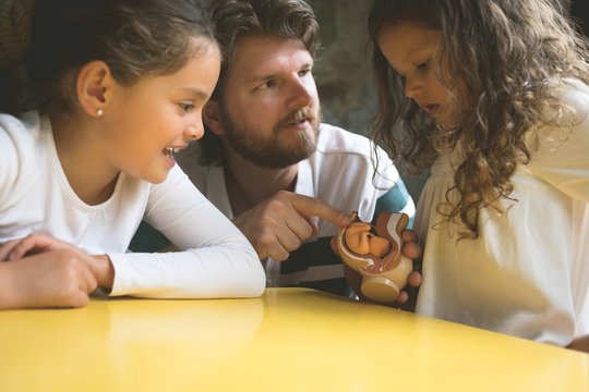 Father explaining his daughters about fetus model