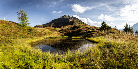 Berglandschaft mit Teich im Sommer