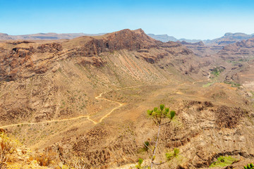 Mountain landscape in Gran Canaria