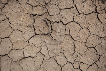 Broken white clay soil texture with cracks on surface