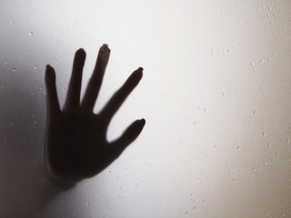 silhouette scene in shower box