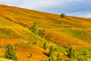 The autumn hills of Balmore