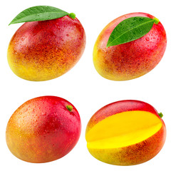 mango fruit isolated