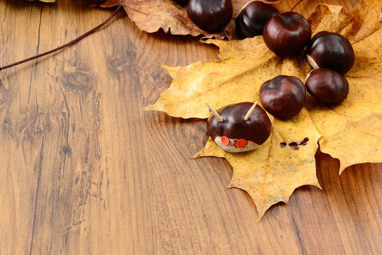 autumn tinker creative figures of Chestnuts