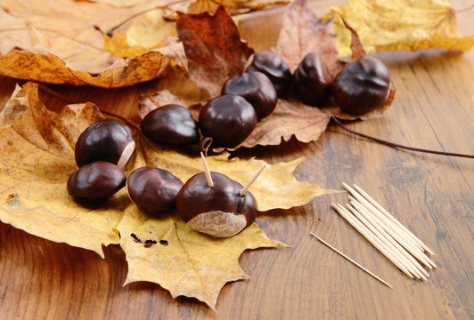 autumn tinker creative figures of Chestnuts