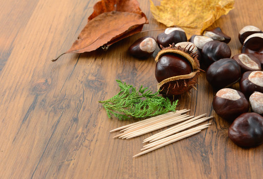 autumn tinker creative figures of Chestnuts
